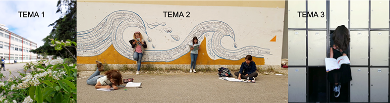 resultado concurso fotos 2019