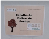 rolhas