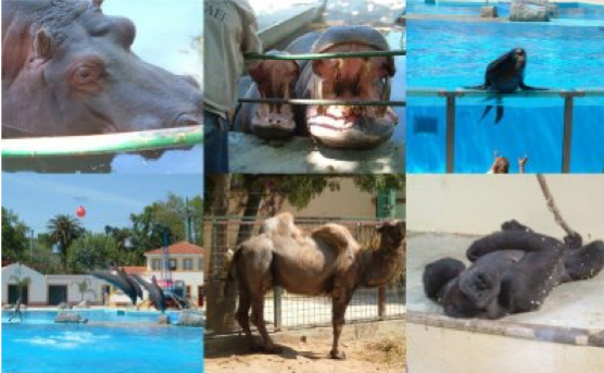 zoo 2018